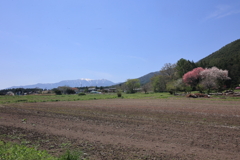 5月の風