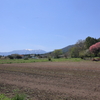 5月の風