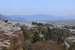 西濃の山の春