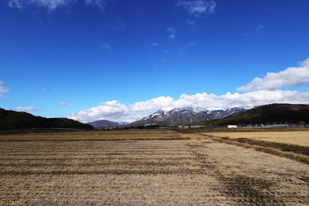 初冠雪した(?)伊吹山