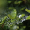 また大雨