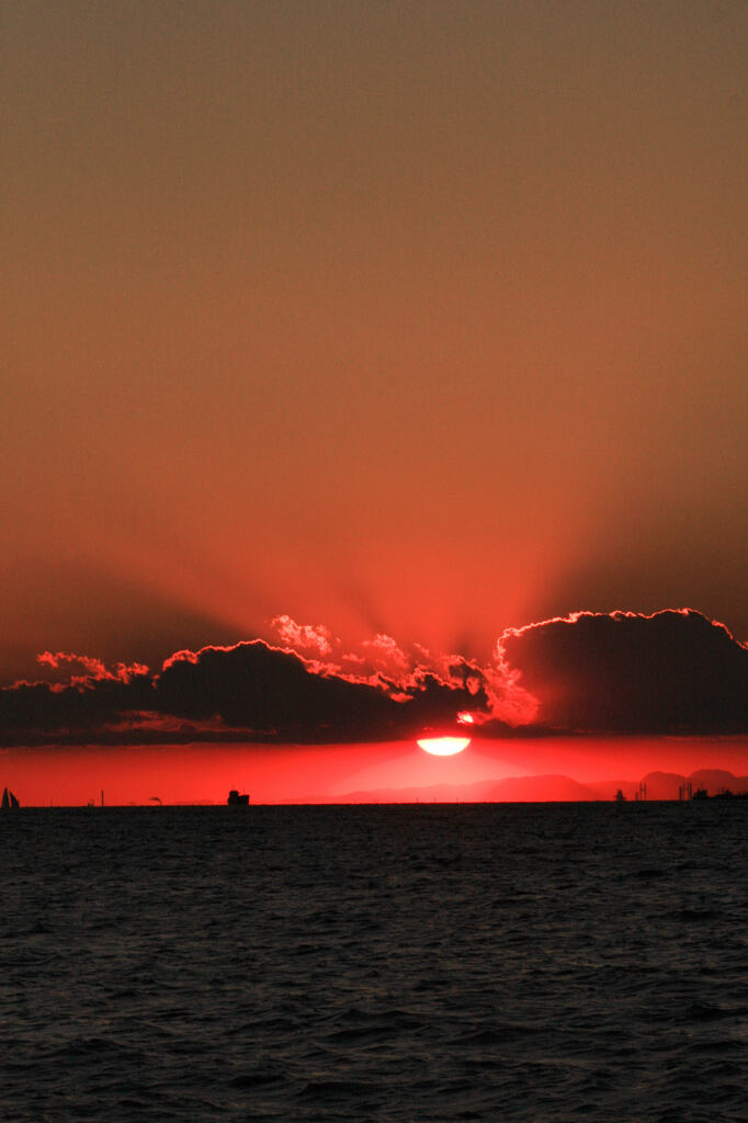 2008 TOKIO BAY