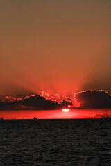 2008 TOKIO BAY