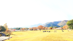 あなたも私も ＯＫ ＯＫ♪