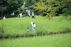 虫捕り