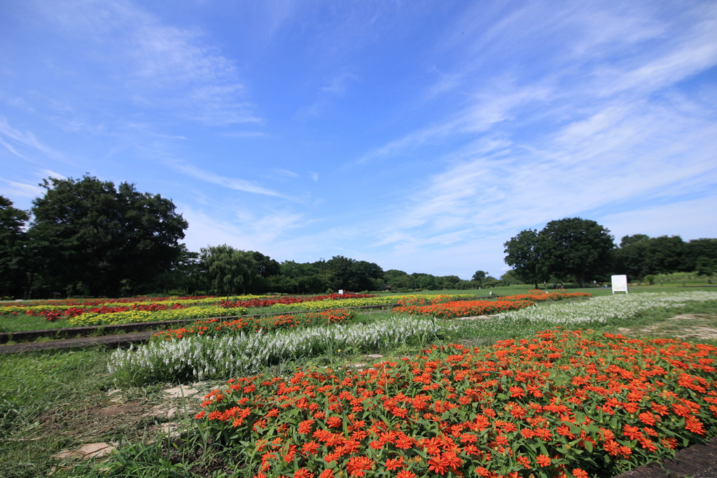 今日も暑い！！！