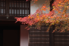 お寺のもみじ
