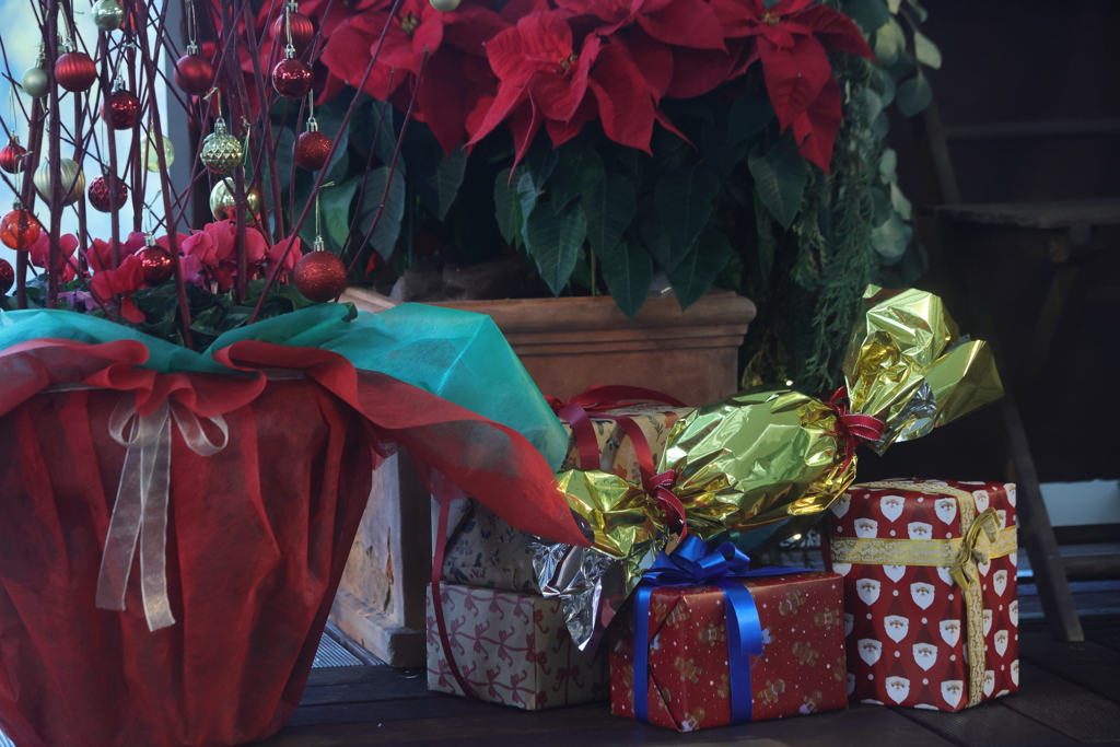 プレゼントの届いた朝