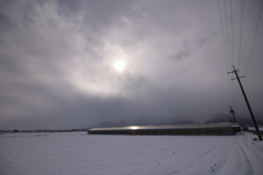 大雪の日