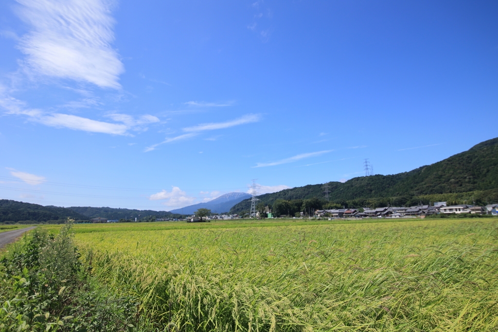 岐阜から見た伊吹山