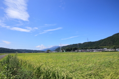 岐阜から見た伊吹山