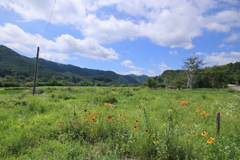 高原の朝