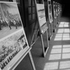 学び舎の卒業生