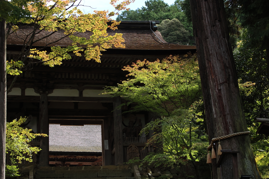 山門