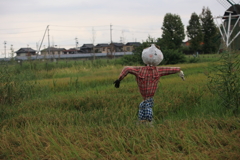 田んぼの守り神