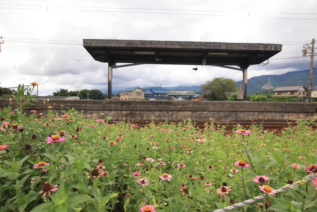 花咲くホーム