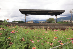 花咲くホーム