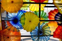 デイル・チフーリ作品