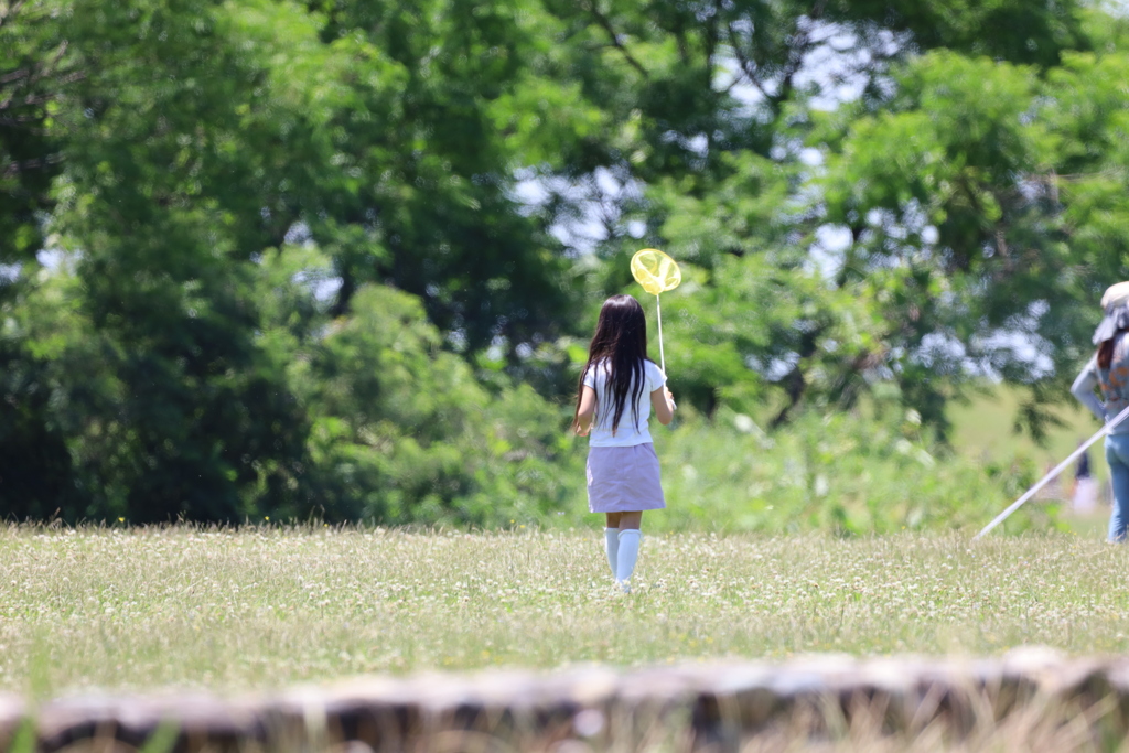 蝶々さん　どこぉ！