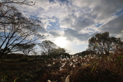 初冬の空