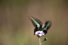 take off