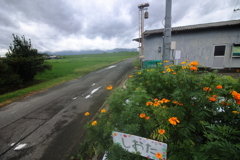 ENDLESS RAIN