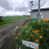 ENDLESS RAIN
