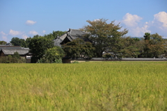 飛鳥寺の初秋