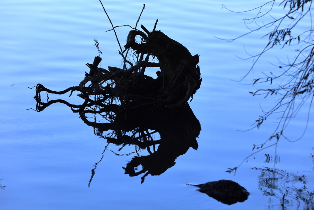 reflection