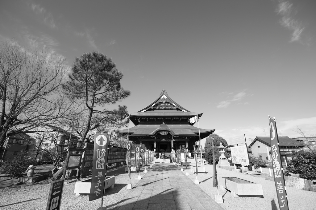 牛にひかれて善光寺参り