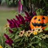 遅いハロウィン