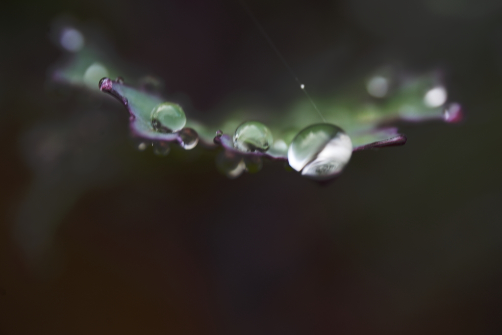 water drop