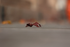 落ちる