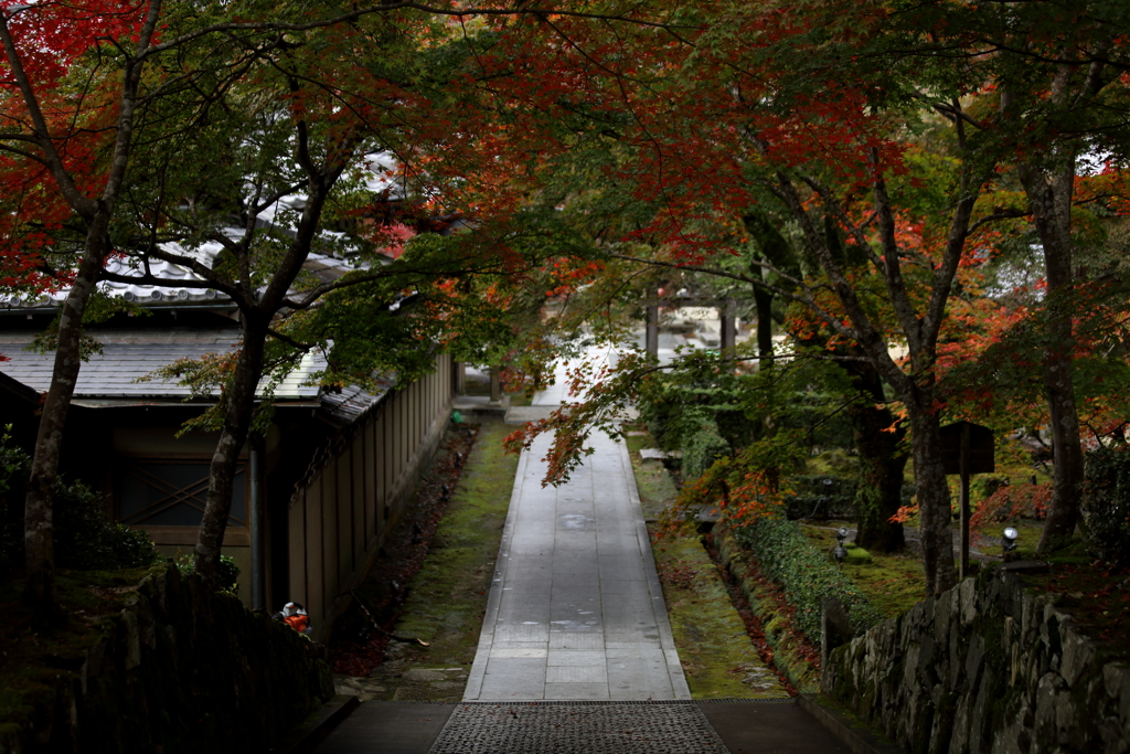 参道