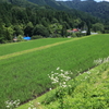 山間の田園風景