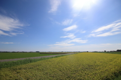 9月の空