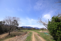 春の散歩道