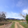 春の散歩道