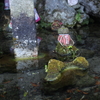 名水 西行水