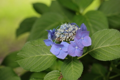 過ぎ去りし季節