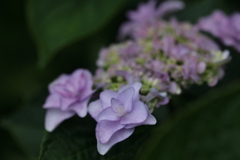 June ～ Wedding bouquet