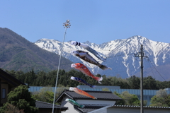 アルプスに昇る鯉のぼり