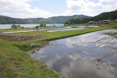 5月の湖北