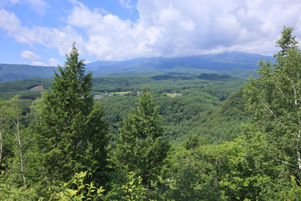 開田高原