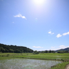 浅井三姉妹が見ていた夏空