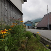 山村の日常