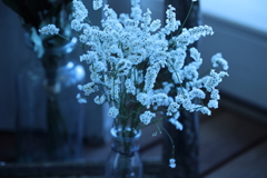 移ろいつつも・・・