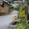 村の通りに咲く花