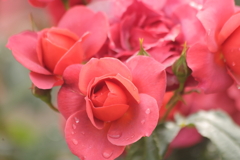 華やかに