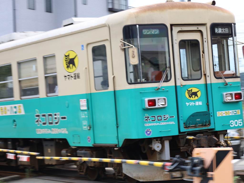 ねこの宅配便 Ⅱ